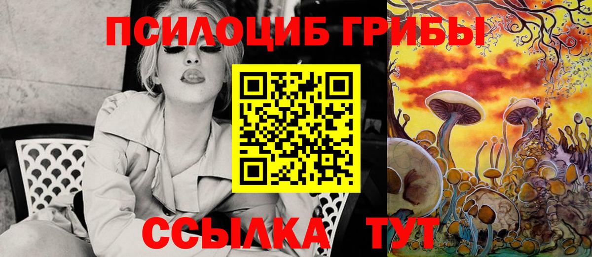 Кизилюрт  Псилоцибиновые грибы Cubensis  Вход с VPN  Псилоцибиновые грибы мицелий 